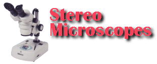Stereo Microscopes