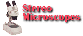 Stereo Microscopes