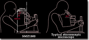 fig2