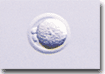 occ sample