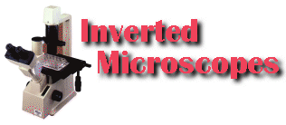 Inverted Microscopes