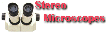 Stereo Microscopes
